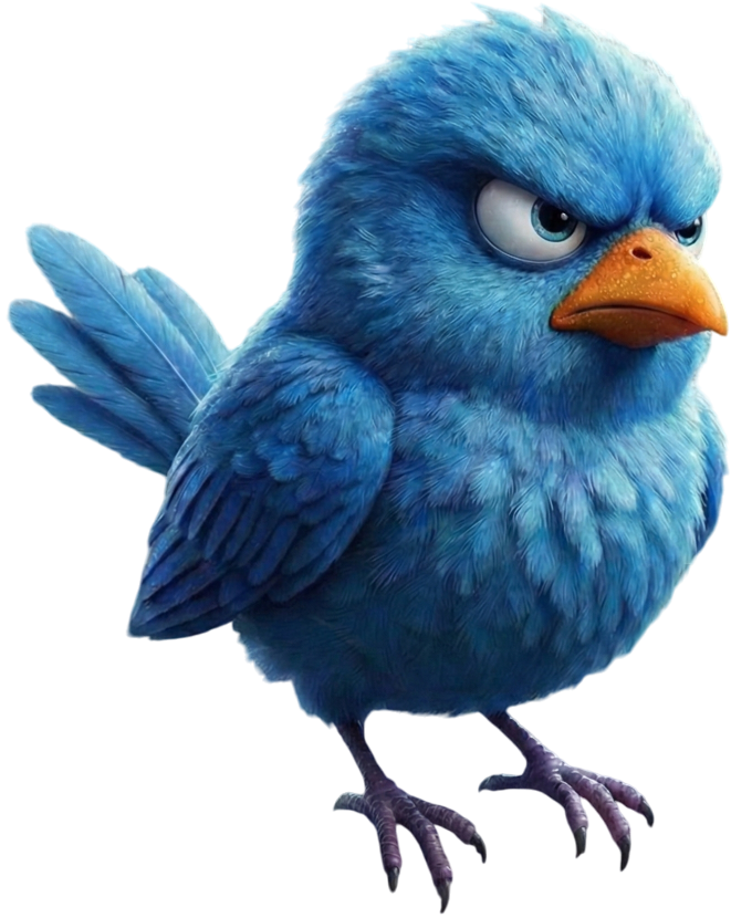 Zephyr